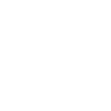 WB Services hardhat icon
