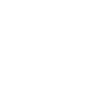 WB Services spider crane icon